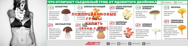 ПСИЛОЦИБИНОВЫЕ ГРИБЫ Пересвет