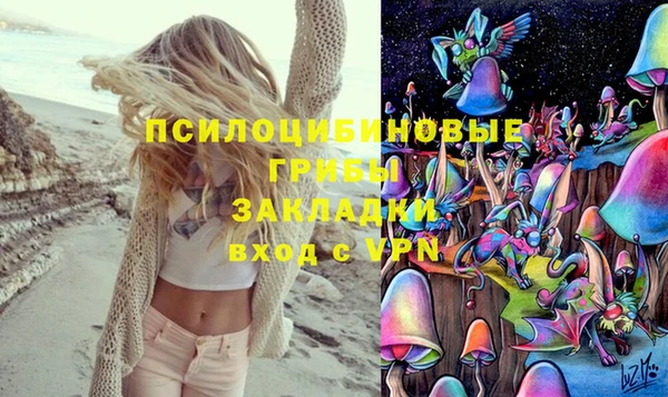 ПСИЛОЦИБИНОВЫЕ ГРИБЫ Пересвет