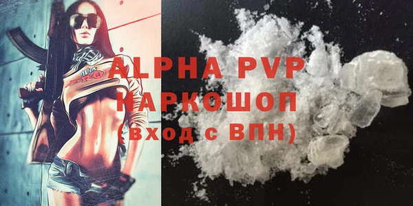 ПСИЛОЦИБИНОВЫЕ ГРИБЫ Пересвет