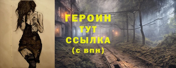 PSILOCYBIN Переславль-Залесский