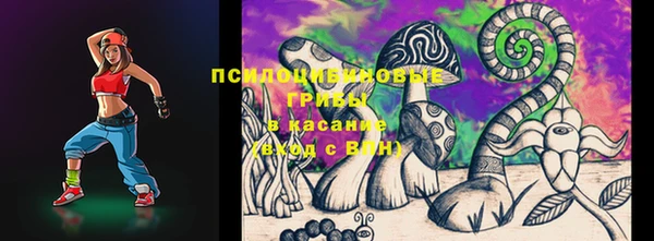 PSILOCYBIN Переславль-Залесский
