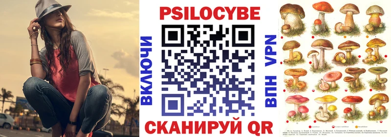 хочу   Ивантеевка  Галлюциногенные грибы Cubensis 