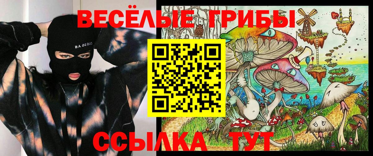 Псилоцибиновые грибы MAGIC MUSHROOMS Ивантеевка