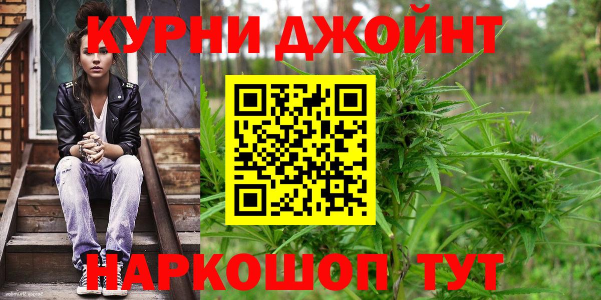 Бошки Шишки план Ивантеевка